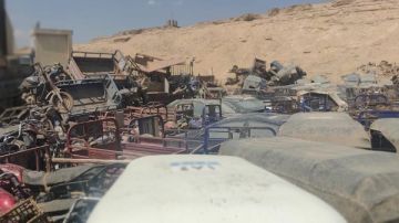 بدء إخلاء حضانة السيارات المتحفظ عليها من مدخل محمية وادي دجلة إلى مقبرة التبين