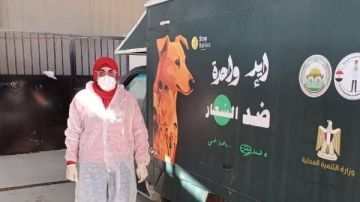 بورسعيد.. استمرار الحملات المكثفة للتعامل مع الكلاب الضالة ونقلها إلى الشيلتر