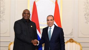 وزير الخارجية يؤكد استعداد مصر لنقل خبراتها في مكافحة الإرهاب لدول منطقة الساحل