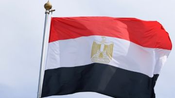 أدت لضحايا منهم وزير الدفاع..مصر تدين الهجمات الإرهابية في مالي