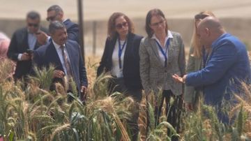 هيئة الطاقة الذرية تستقبل وفدا ألمانيا رفيع المستوى لتعزيز التعاون العلمي المشترك