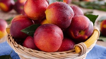 ماذا يحدث لجسمك عند تناول الخوخ ماذا يحدث لجسمك عند تناول الخوخ