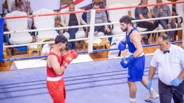 اليوم.. نصف نهائي بطولة الجمهورية لرجال الملاكمة