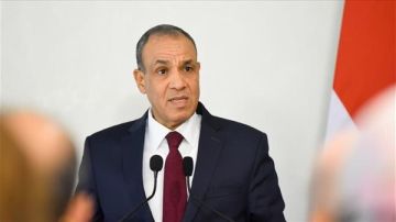 وزير الخارجية: نرفض أي إجراءات أحادية تمس وحدة الصومال أو تنتقص من سيادتها