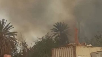 السيطرة على حريق هائل في كرم نخيل بنجع الحلة بإسنا بالأقصر