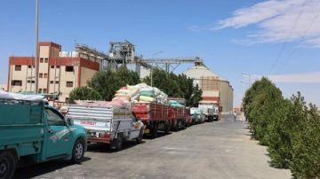 أخبار الوادي الجديد: المحافظة تواصل تصدرها بتوريد القمح بإجمالي 149 ألف طن.. ورئيس المنطقة الأزهرية يتابع سير امتحانات النقل
