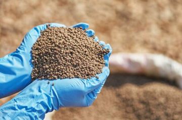 الأردن: إمدادات مصرية منتظمة تسهم في استقرار سوق الأسمدة محليا الأردن: إمدادات مصرية منتظمة تسهم في استقرار سوق الأسمدة محليا