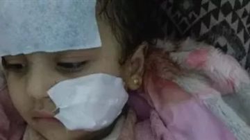 إخلاء سبيل لوبا الحلو فى واقعة تعرض طفلة لهجوم أسد إخلاء سبيل لوبا الحلو فى واقعة تعرض طفلة لهجوم أسد