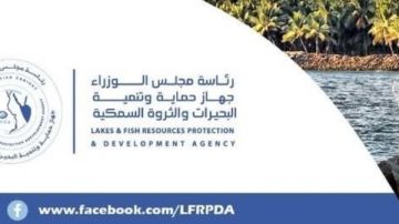  حماية البحيرات تحقق طفرة إنتاجية وتورد 85 طن أسماك للأسواق من برسيق والزاوية