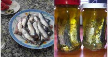 نوع من الأسماك المملحة يعالج ارتفاع السكر