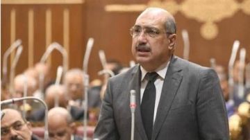 برلمانية الشعب الجمهوري توافق على تعديل قانون التأمينات: المعاش أجر مؤجل 