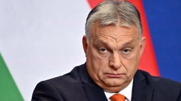 سقوط حليف ترامب.. أوربان يقر بالهزيمة في انتخابات المجر وسط ارتياح أوروبي واسع