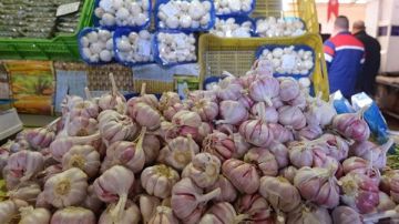 وزير الزراعة يعلن فتح أسواق الأوروجواي أمام البصل والثوم المصري