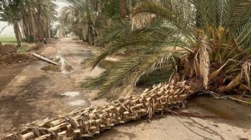 إعادة فتح طريق طراد النيل أمام المواطنين بالبرجاية بالمنيا إعادة فتح طريق طراد النيل أمام المواطنين بالبرجاية بالمنيا