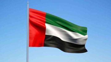 حاكم دبي يدعو المواطنين والمقيمين لرفع علم الإمارات فوق المنازل حاكم دبي يدعو المواطنين والمقيمين لرفع علم الإمارات فوق المنازل