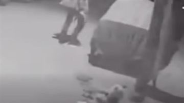 فيديو قتل كلب في أسيوط يثير الغضب.. التفاصيل الكاملة فيديو قتل كلب في أسيوط يثير الغضب.. التفاصيل الكاملة