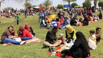 حقيقة تحريم الاحتفال بشم النسيم .. دار الإفتاء توضح حقيقة تحريم الاحتفال بشم النسيم .. دار الإفتاء توضح