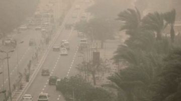 الجو مطر وبرد.. اعرف العلاج الطبي للحساسية الموسمية