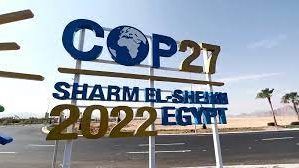 اليوم حدث عالمي يسلط الضوء على القضايا البيئية الكبرى.. ما هو؟ اليوم حدث عالمي يسلط الضوء على القضايا البيئية الكبرى.. ما هو؟
