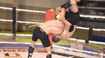 الجمعة.. نهائي بطولة الجمهورية للفنون القتالية المختلطة MMA الجمعة.. نهائي بطولة الجمهورية للفنون القتالية المختلطة MMA