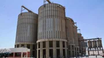 صوامع ممتلئة وخطة رقابية مشددة.. سوهاج تحكم السيطرة على الذهب الأصفر في موسم 2026