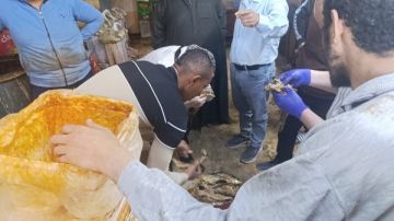 ضبط 700 كيلو فسيخ وأسماك مملحة غير صالحة في أبو تيج ضبط 700 كيلو فسيخ وأسماك مملحة غير صالحة في أبو تيج