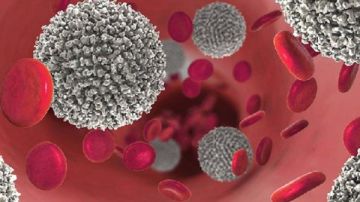 5 أطعمة تعزز مناعة الجسم وتحد من مخاطر السرطان