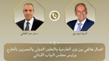 وزير الخارجية : استمرار التحركات المصرية لتوفير الدعم السياسي والإنساني للشعب اللبناني