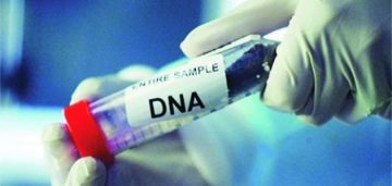 تفاصيل تحليل dna الغذائي.. تاريخه وفوائده تفاصيل تحليل dna الغذائي.. تاريخه وفوائده