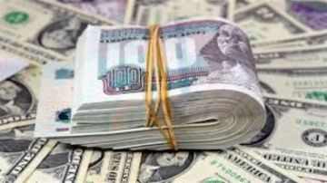 سعر الدولار اليوم في البنوك المصرية سعر الدولار اليوم في البنوك المصرية