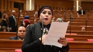 شاهين: الدبلوماسية المصرية حمت الأمن القومي العربي وأثرت إيجابيا على السلام الإقليمي