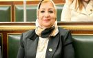 النائبة نسرين عمر: تخفيض سن الحضانة مرفوض.. والأب في المرتبة الثانية بعد الأم