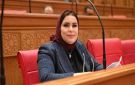 نيفين الكاتب: الطفل أساس قانون الأسرة ولابد من مواجهة المغالبة - eg
