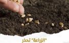 زراعة الأصناف المجهولة خطر .. وزارة الزراعة تحذر من إعلانات التقاوي الوهمية