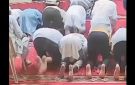 فيديو أفعى داخل مسجد تثير الذعر بين المصليين.. القصة الكاملة