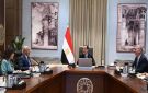 الحكومة المصرية تبحث موقف ترشيد المواد البترولية في عدد من المشروعات - eg