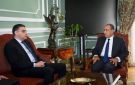 وزير الخارجية المصري يبحث مع هيئة الشراء الموحد التعاون بمجال الأمن الصحي - eg