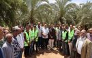 محافظ الوادي الجديد تشهد إطلاق طفيل الترايكوجراما لمكافحة آفات النخيل بمركز الخارجة