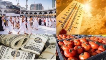 أخبار التوك شو هل أسعار الطماطم انخفضت لـ 7 جنيهات للكيلو؟.. ومفاجأة بشأن الدواجن والبيض والدولار وحالة الطقس