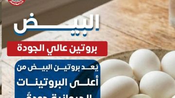 يبني العضلات.. الصحة للمواطنين: احرصوا على تناول البيض يبني العضلات.. الصحة للمواطنين: احرصوا على تناول البيض