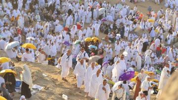 6 شروط للحج الصحيح.. علي جمعة يشرحها بالتفصيل 6 شروط للحج الصحيح.. علي جمعة يشرحها بالتفصيل