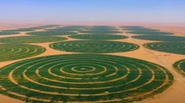 عضو زراعة النواب: افتتاح الرئيس السيسي لـ الدلتا الجديدة نقلة تاريخية لتأمين الغذاء عضو زراعة النواب: افتتاح الرئيس السيسي لـ الدلتا الجديدة نقلة تاريخية لتأمين الغذاء