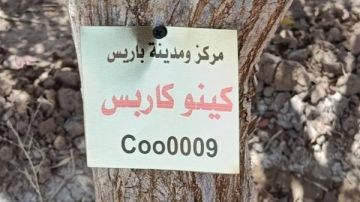 الوادي الجديد تبدأ ترقيم أشجار مبادرة الـ100 مليون شجرة بواحة باريس الوادي الجديد تبدأ ترقيم أشجار مبادرة الـ100 مليون شجرة بواحة باريس