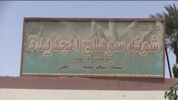 محافظ سوهاج يعلن توريد 57 ألف طن قمح وتجهيز 15 موقعا تخزينيا لاستيعاب حصاد 199 ألف فدان