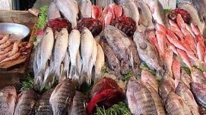 رغم تراجع الطلب.. ارتفاع أسعار السمك البلطي في الأسواق رغم تراجع الطلب.. ارتفاع أسعار السمك البلطي في الأسواق