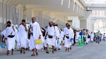 غدا.. بدء عودة حجاج الجمعيات الأهلية إلى مصر عبر مطار جدة غدا.. بدء عودة حجاج الجمعيات الأهلية إلى مصر عبر مطار جدة