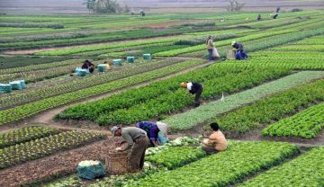 اليوم العالمي للتنوع البيولوجي.. دعوة عالمية لحماية توازن الحياة على الأرض اليوم العالمي للتنوع البيولوجي.. دعوة عالمية لحماية توازن الحياة على الأرض