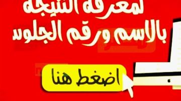 رابط سريع.. نتيجة امتحانات النقل للابتدائي والإعدادي 2026 برقم الجلوس واسم الطالب رابط سريع.. نتيجة امتحانات النقل للابتدائي والإعدادي 2026 برقم الجلوس واسم الطالب