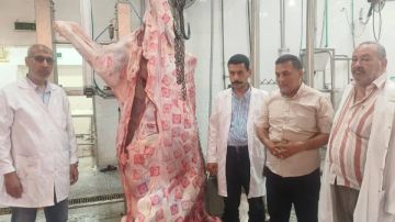 مجزر شبين الكوم المطور جاهز لاستقبال الأضاحي مجزر شبين الكوم المطور جاهز لاستقبال الأضاحي