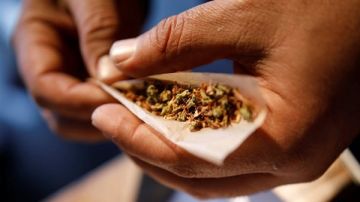 نبات القات يثير الجدل.. مباح بدول أفريقية ومجرم داخل مصر ما القصة؟ نبات القات يثير الجدل.. مباح بدول أفريقية ومجرم داخل مصر ما القصة؟